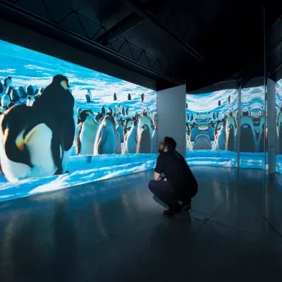 digital gallery