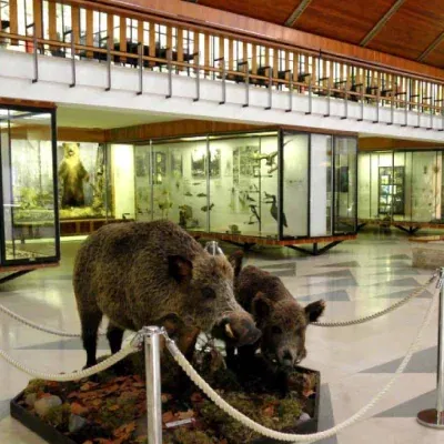 tanap museum