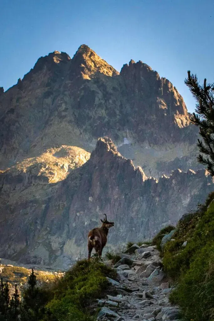Hotel Lomnica august pobyt Tatry